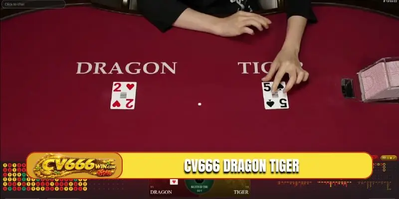 CV666 Dragon Tiger
