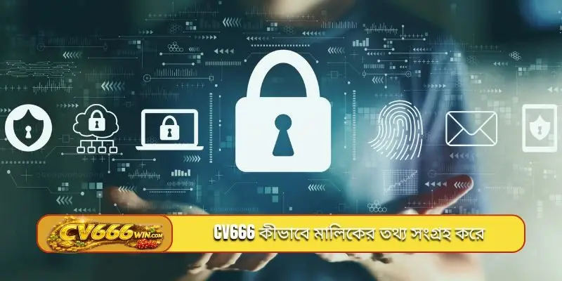  CV666 কীভাবে মালিকের তথ্য সংগ্রহ করে