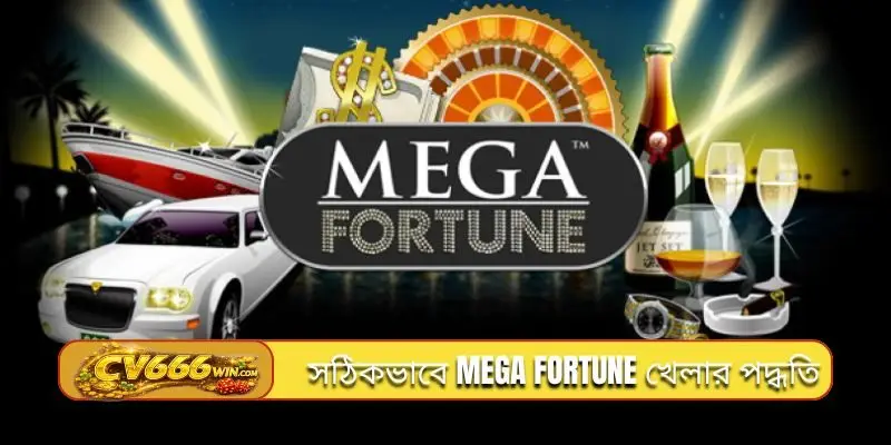 সঠিকভাবে Mega Fortune খেলার পদ্ধতি