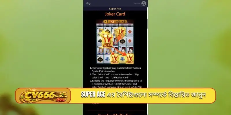 Super Ace এর বৈশিষ্ট্যগুলো সম্পর্কে বিস্তারিত জানুন