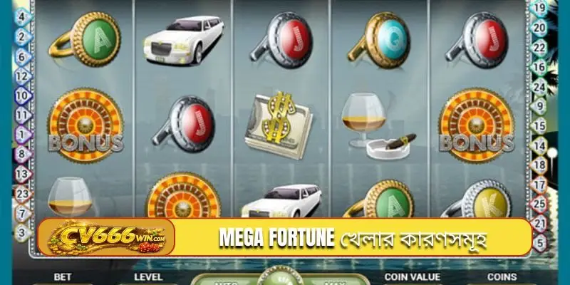 Mega Fortune খেলার কারণসমূহ
