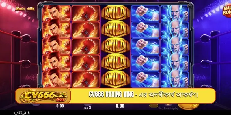 CV666 Boxing King - এর অনস্বীকার্য আকর্ষণ।